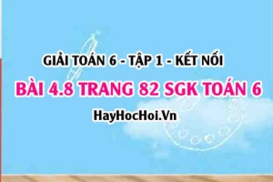 Giải bài 4.8 trang 82 Toán 6 Tập 1 SGK Kết nối tri thức